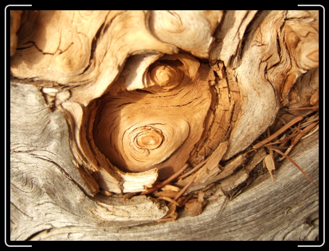 Letztes Bild erreicht